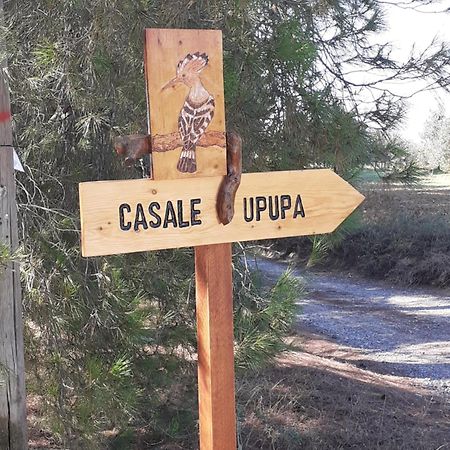 Casale L'Upupa Villa Orvieto Ngoại thất bức ảnh