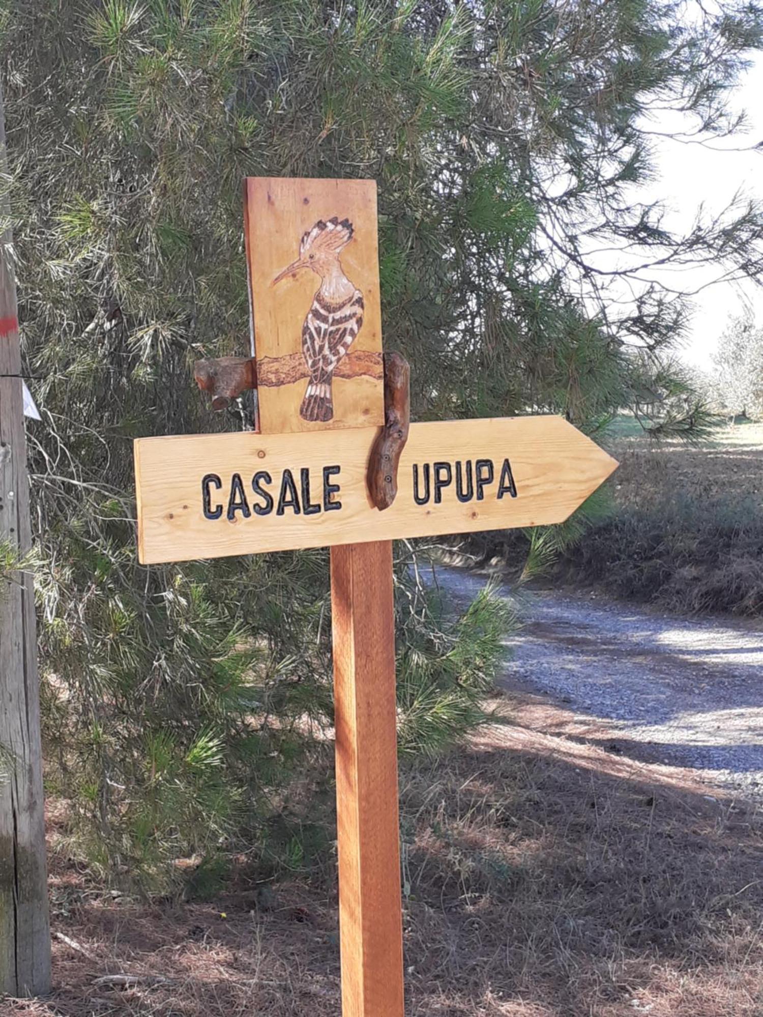 Casale L'Upupa Villa Orvieto Ngoại thất bức ảnh